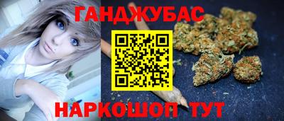крисы Нальчик