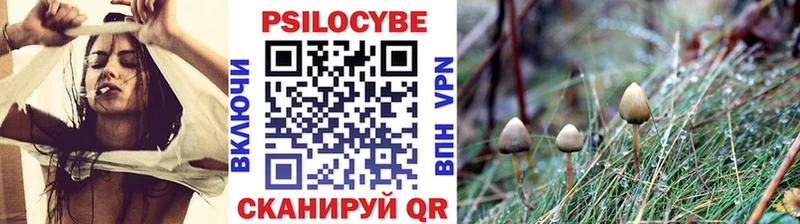 MEGA вход  Заинск  Галлюциногенные грибы GOLDEN TEACHER 