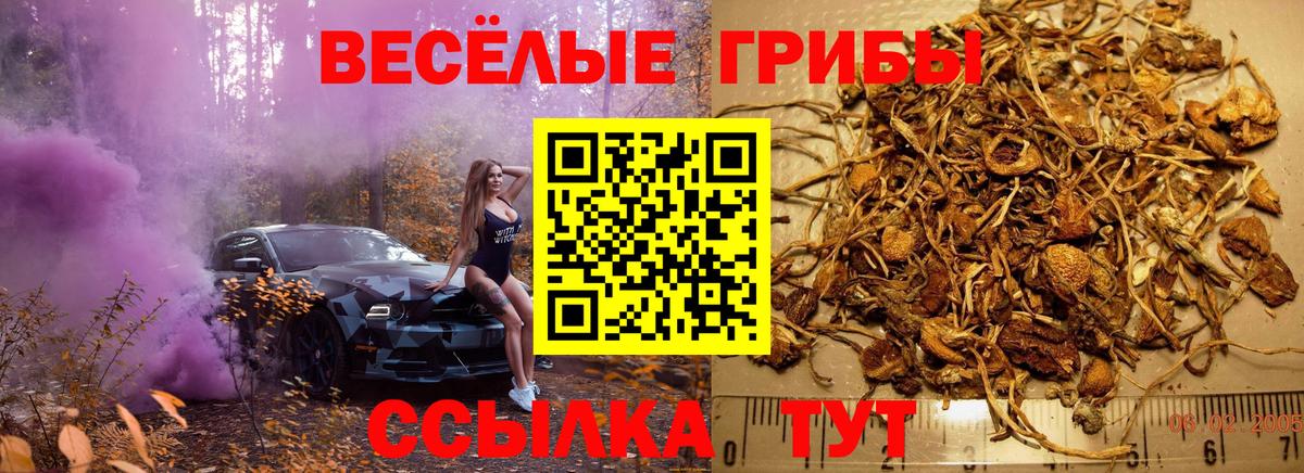 Псилоцибиновые грибы прущие грибы  Галлюциногенные грибы Cubensis  Вход с VPN  Заинск 