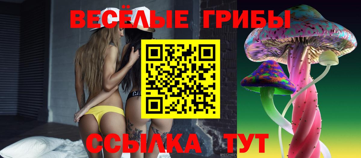 Псилоцибиновые грибы ЛСД Заинск