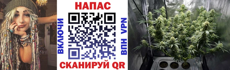 Бошки Шишки Bruce Banner  Заинск 